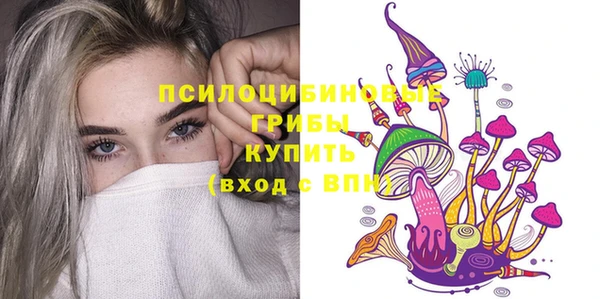 сатива Осташков