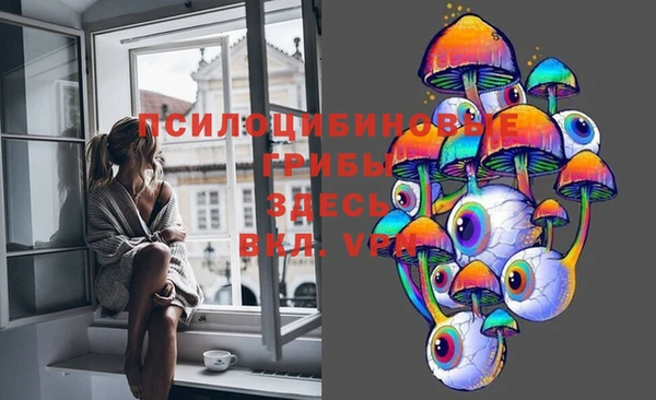 сатива Осташков