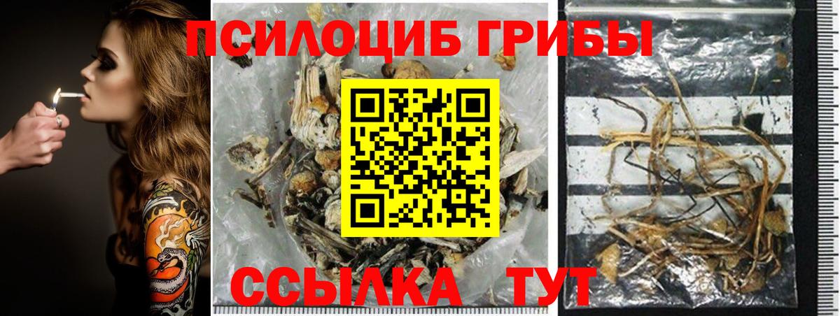 Псилоцибиновые грибы мицелий Бердск