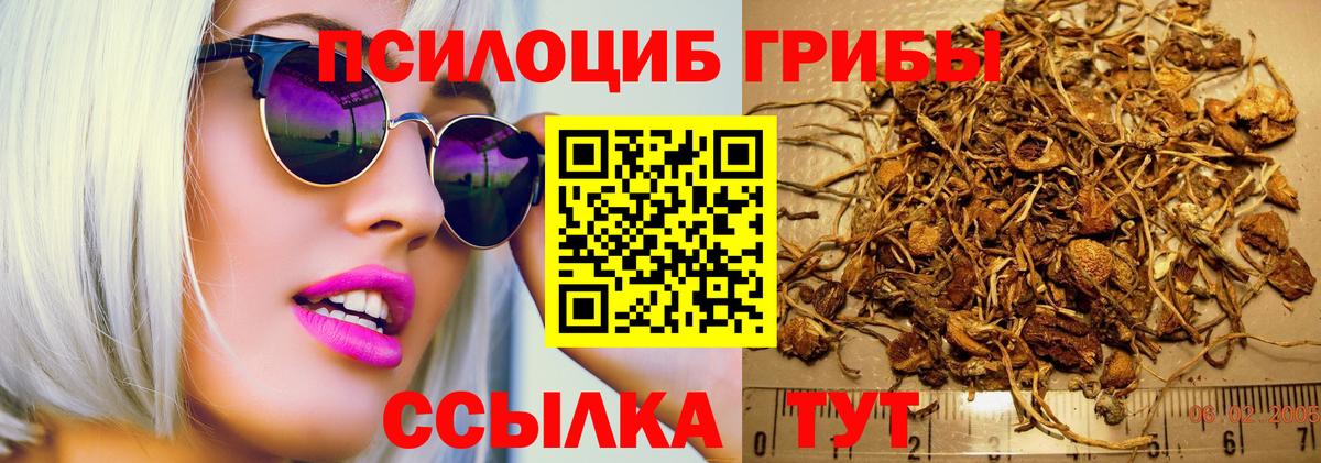 Бердск  как найти наркотики  Вход с VPN  Галлюциногенные грибы GOLDEN TEACHER 